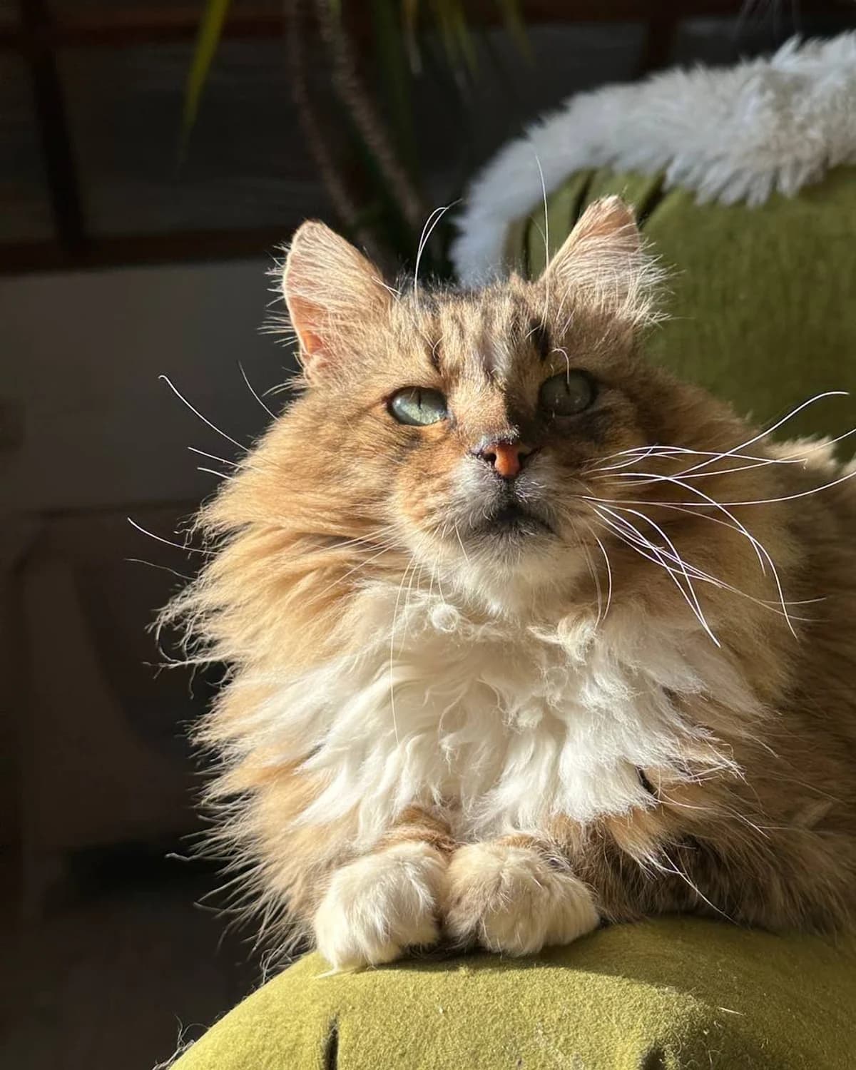 Кузя